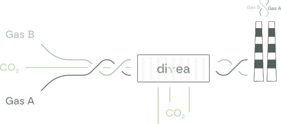 divea